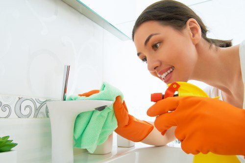 Bathroom cleaning in a Wembley home