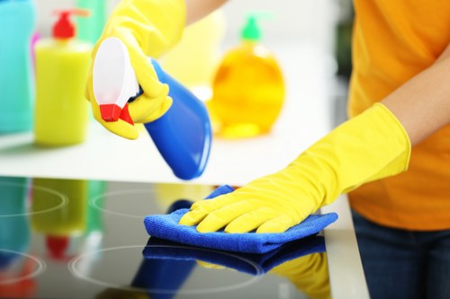 Deep oven cleaning service for Wembley kitchens