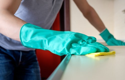 Upholstery cleaning equipment used on a Wembley sofa
