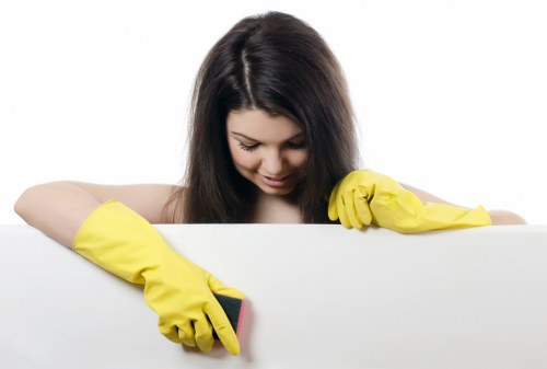 Deep cleaning oven racks and interior surfaces in Wembley