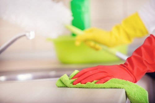 Kitchen appliance maintenance and oven cleaning in Wembley